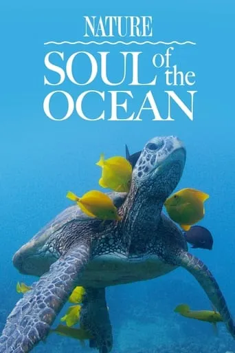 Soul of the Ocean movie poster - Rated 2/10