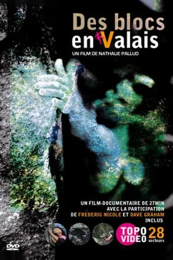 Des Blocs En Valais movie poster - Rated 10/10