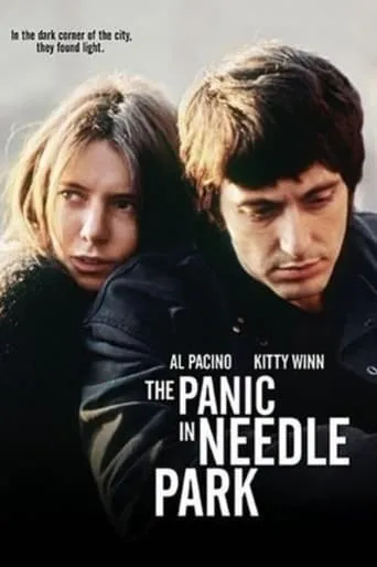 Panic on the Streets of New York movie poster - Entertainment content