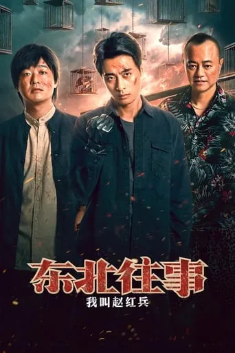 东北往事之我叫赵红兵 movie poster - Rated 6/10