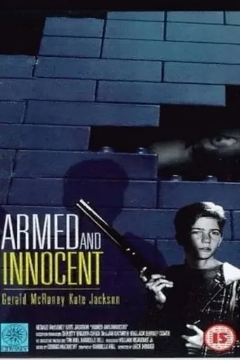 Armed and Innocent movie poster - Rated 4.5/10
