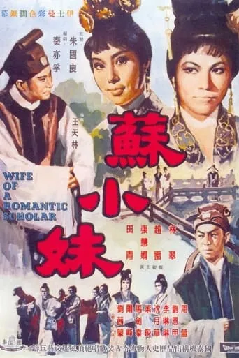 Wife of a Romantic Scholar movie poster - Entertainment content