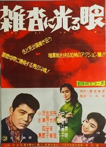 Zattō ni hikarume movie poster - Entertainment content