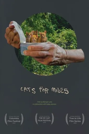 Cats for Miles movie poster - Entertainment content