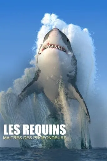 Les requins, maîtres des profondeurs movie poster - Rated 8/10