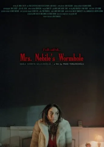 Nebile Hanım'ın Solucan Deliği movie poster - Entertainment content