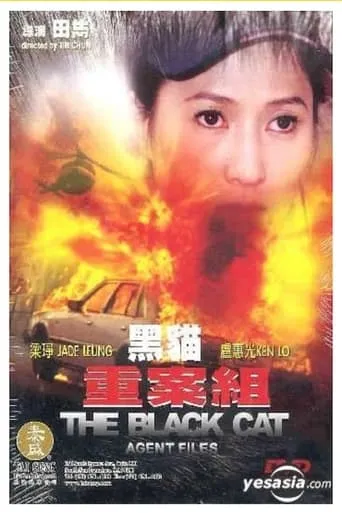 The Black Cat Agent Files movie poster - Entertainment content