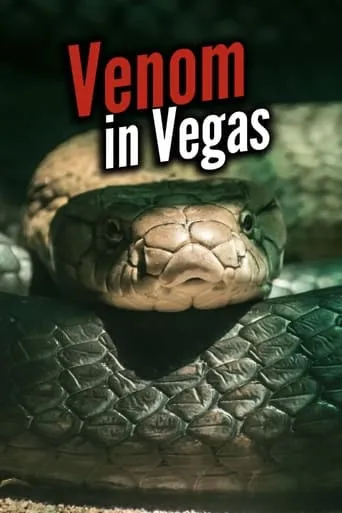 Venom In Vegas movie poster - Rated 6/10