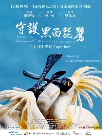 Caring for Black-Faced Spoonbill movie poster - Entertainment content
