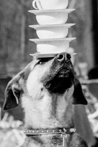 Doggie Chronicle movie poster - Entertainment content