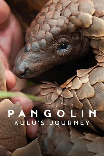 Pangolin: Kulu's Journey movie poster - Rated 7.5/10
