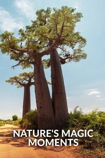 Nature's Magic Moments movie poster - Rated 9.5/10