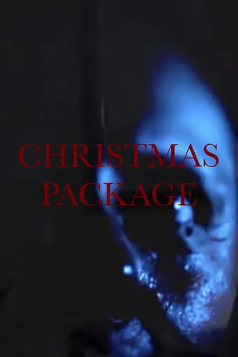 Christmas Package movie poster - Entertainment content