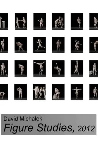 Figure Studies movie poster - Entertainment content