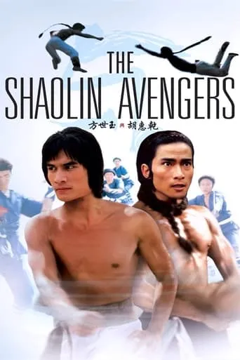 The Shaolin Avengers movie poster - Rated 6.8/10