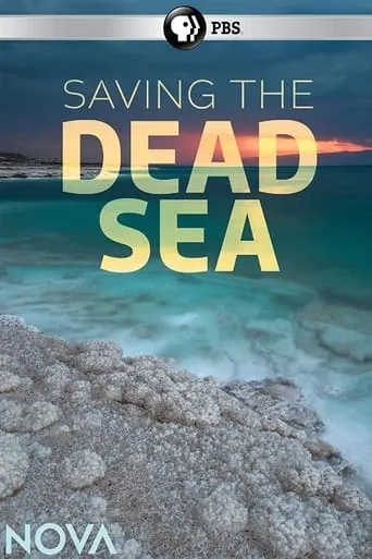 Saving the Dead Sea movie poster - Entertainment content