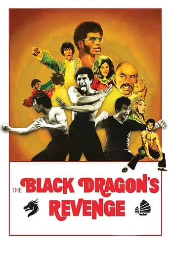 Black Dragon's Revenge movie poster - Rated 4.6/10