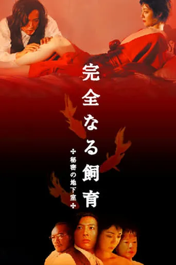 Perfect Education 4: Secret Basement movie poster - Rated 6/10