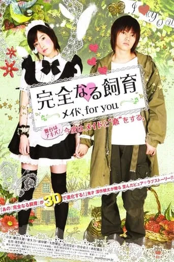 Perfect Education: A Maid for You movie poster - Rated 4/10