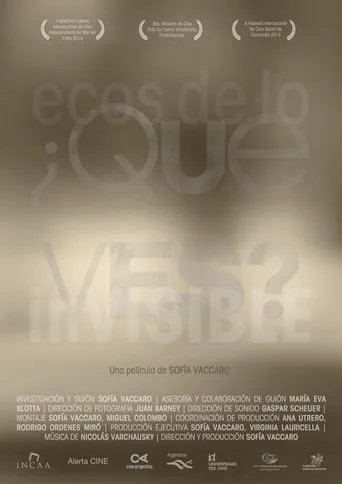 ¿Qué ves? Ecos de lo invisible movie poster - Entertainment content