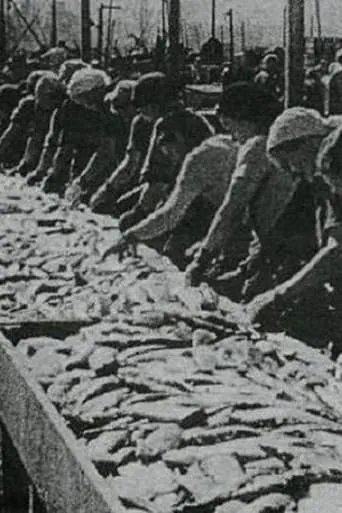 The Icelandic Herring Industry movie poster - Entertainment content