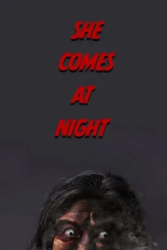 She Comes at Night movie poster - Entertainment content