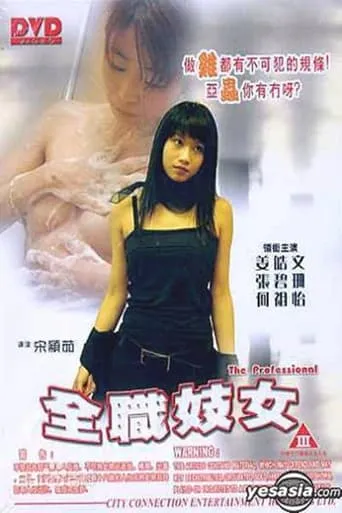 The Professional movie poster - Entertainment content