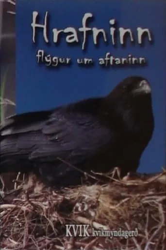 The Bird of Wisdom: The Raven movie poster - Entertainment content