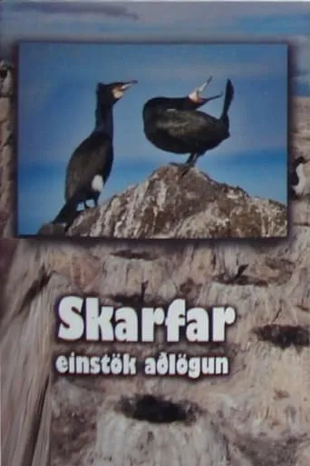 Skarfar movie poster - Entertainment content