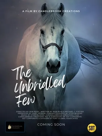 The Unbridled Few movie poster - Entertainment content