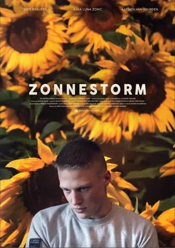 Zonnestorm movie poster - Entertainment content