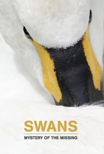 Swans: Mystery of the Missing movie poster - Rated 10/10