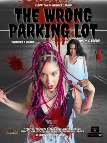 The Wrong Parking Lot movie poster - Entertainment content