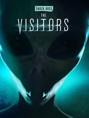 The Visitors movie poster - Rated 6.3/10