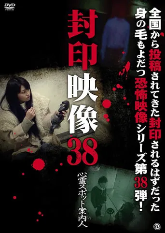Sealed Video 38: Spirit Spot Guide movie poster - Entertainment content