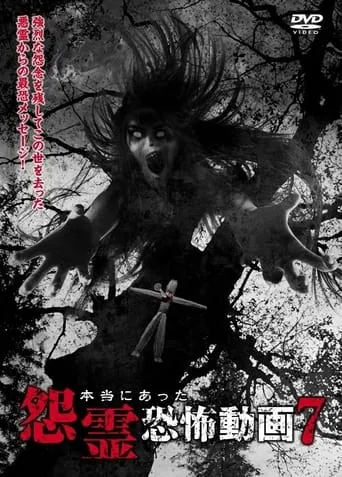 Real Vengeful Ghost Horror Video 7 movie poster - Entertainment content