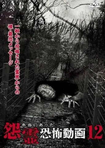 Real Vengeful Ghost Horror Video 12 movie poster - Entertainment content
