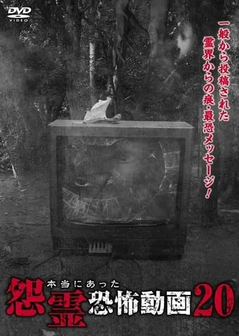 Real Vengeful Ghost Horror Video 20 movie poster - Entertainment content