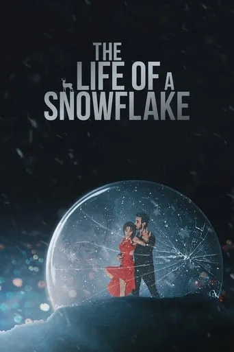 The Life of a Snowflake movie poster - Rated 7.5/10