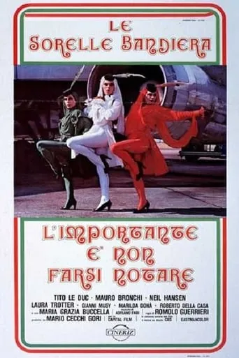L'importante è non farsi notare movie poster - Rated 3.5/10