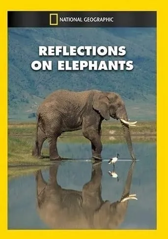 Reflections on Elephants movie poster - Entertainment content