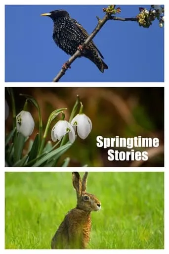Springtime Stories movie poster - Entertainment content
