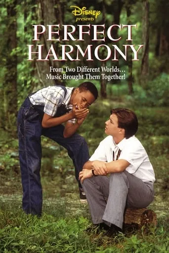 Perfect Harmony movie poster - Rated 6.1/10