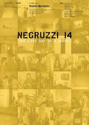 Negruzzi 14 movie poster - Rated 6/10