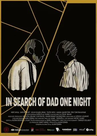 In Search of Dad One Night movie poster - Rated 5.5/10