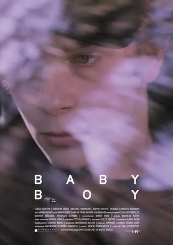 Babyboy movie poster - Entertainment content
