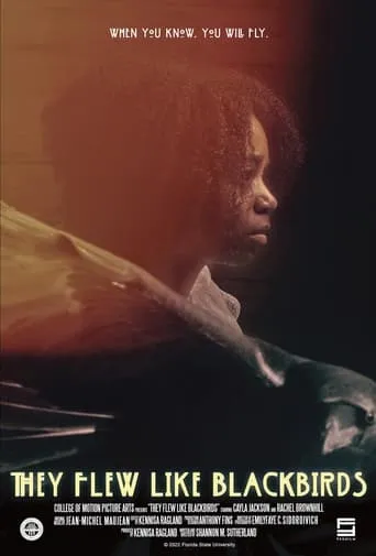 They Flew Like Blackbirds movie poster - Entertainment content