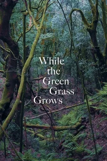 While the Green Grass Grows movie poster - Entertainment content