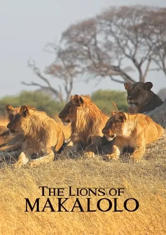 The Lions of Makalolo movie poster - Entertainment content