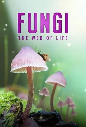Fungi: The Web of Life movie poster - Rated 6.4/10